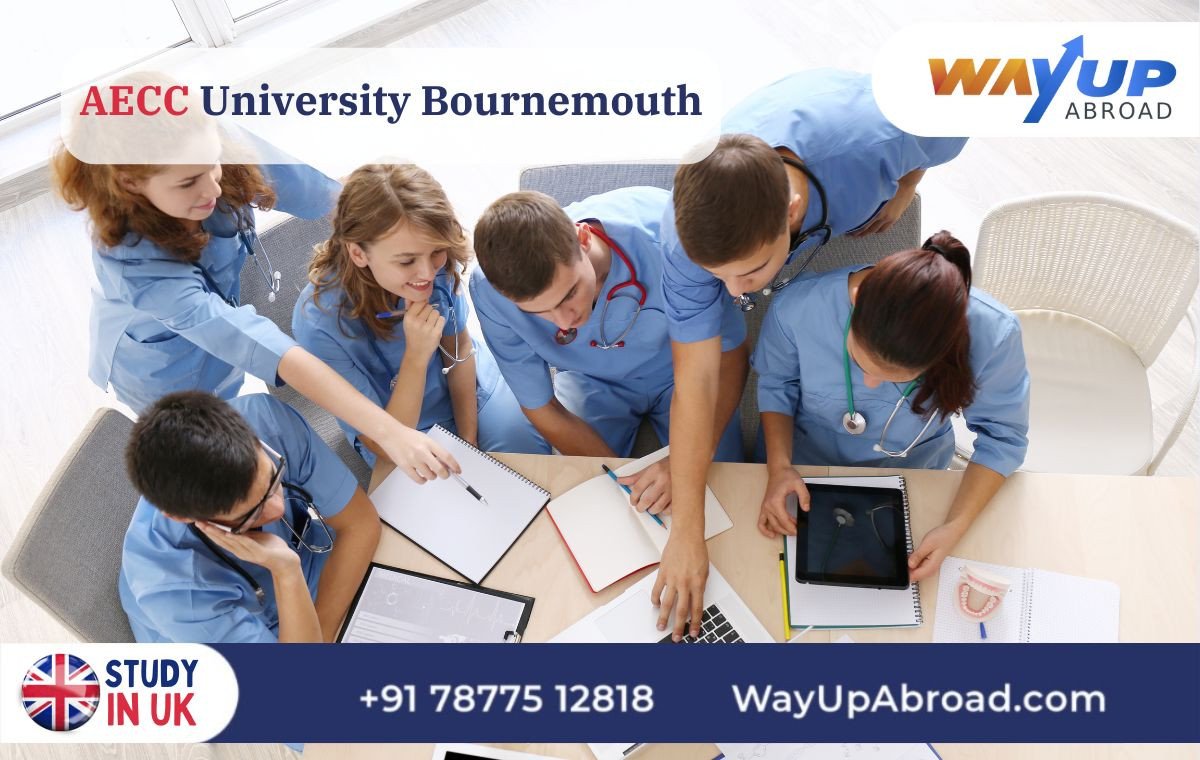 AECC University Bournemouth, Popular Courses, Cost of Studying at AECC University Bournemouth, Student Life, Health Sciences Program Fees
